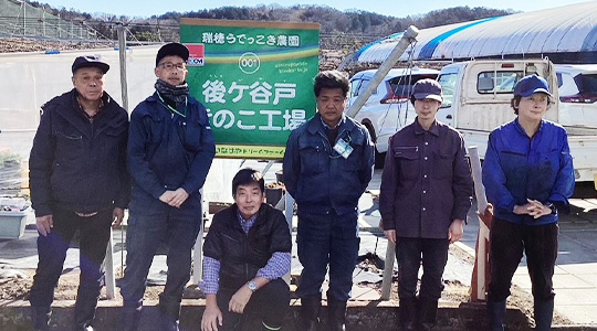 工場のお仕事